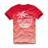 Camiseta Hollister Masculina Vermelha
